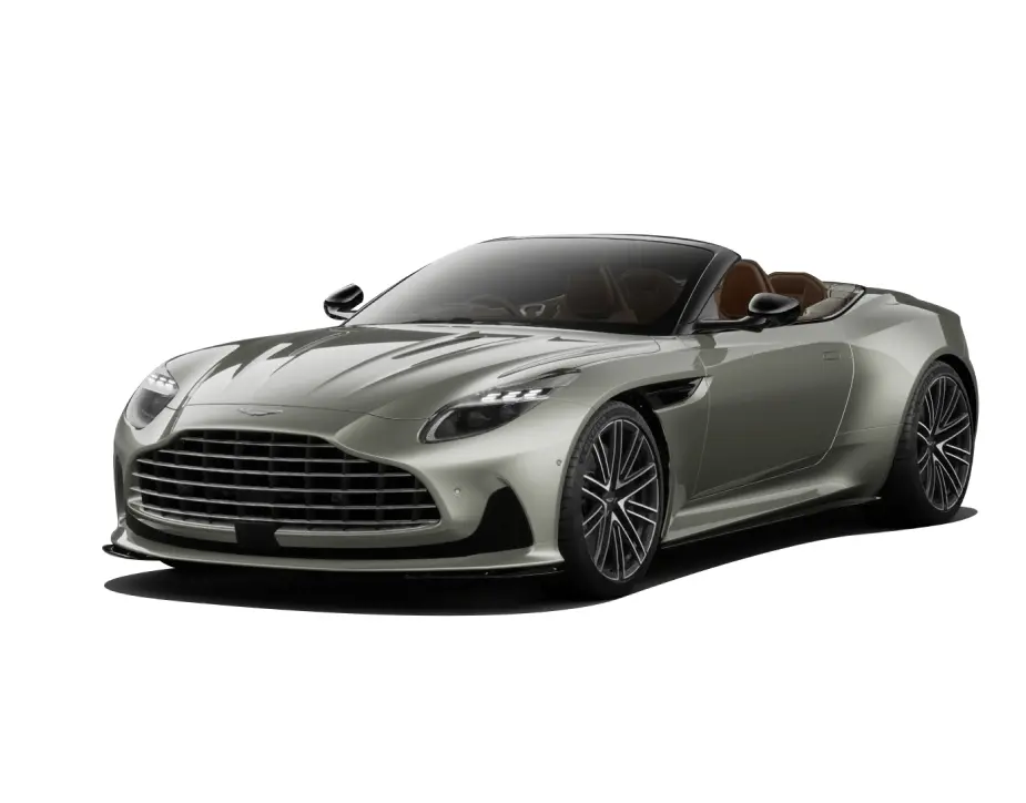 Silver Birch Provenance variant