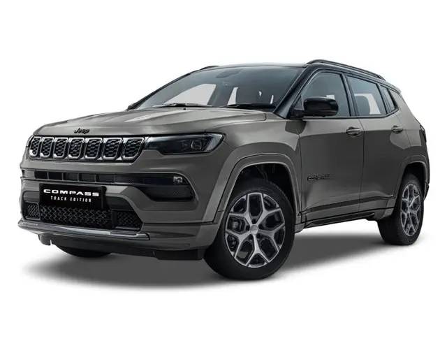Grigio Magnesio variant