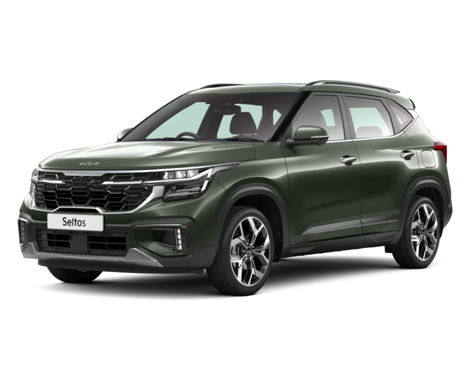 Pewter Olive variant