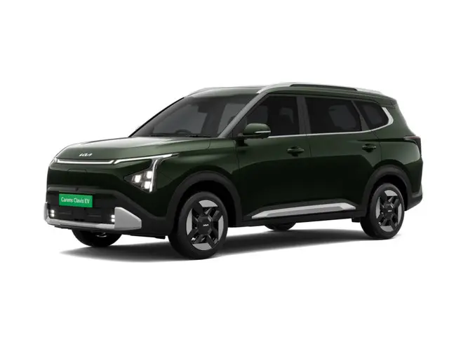 Pewter Olive variant