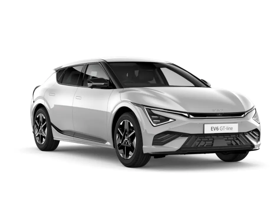 Wolf Grey image