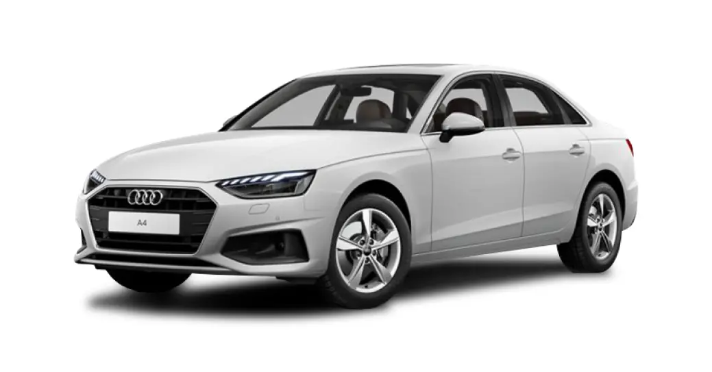 Ibis White