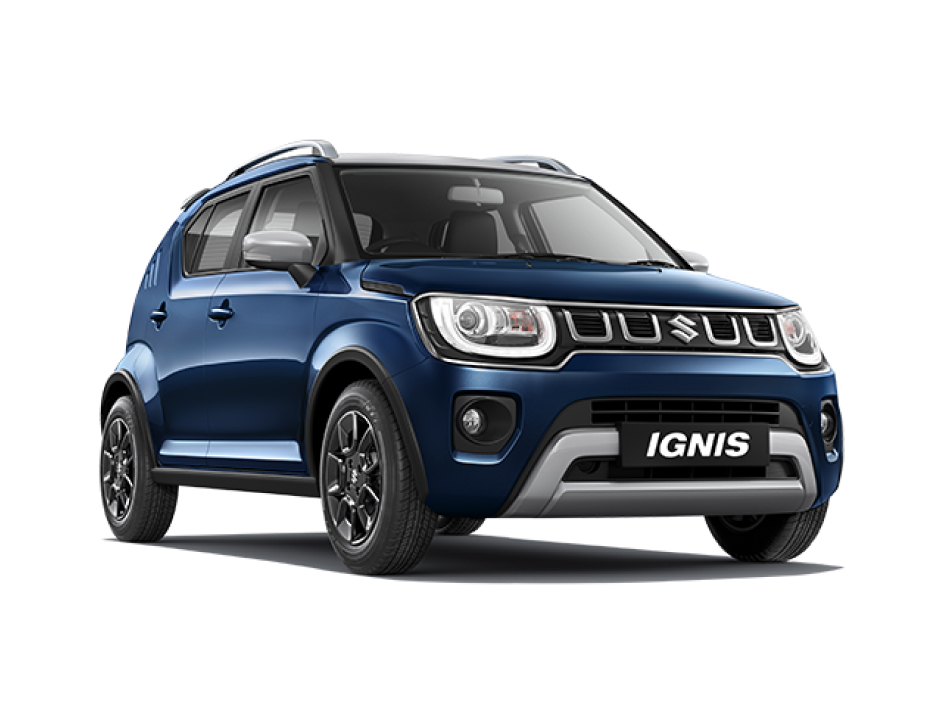 NEXA BLUE WITH SILVER ROOF image