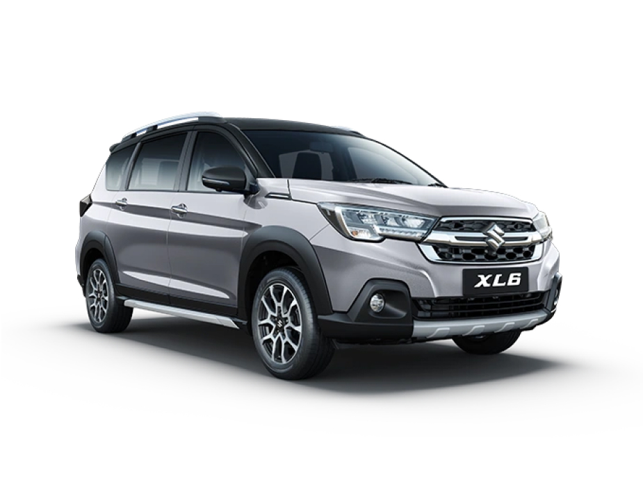 SPLENDID SILVER WITH BLACK ROOF image