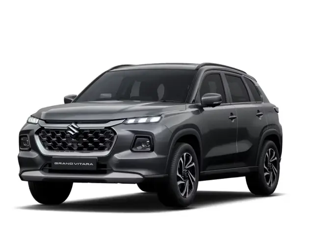 SPLENDID SILVER WITH BLACK ROOF image