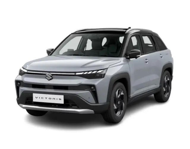 Splendid Silver With Bluish Black Roof image