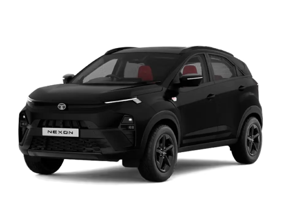 1.5D Fearless + PS AMT Red DK