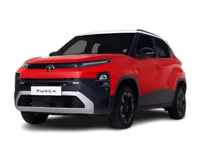 Bengal Rouge (Red) variant