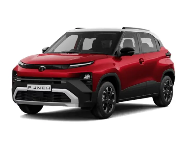 Bengal Rouge with Dual Tone variant