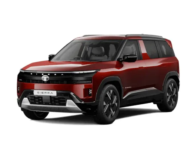 Bengal Rouge with Dual Tone variant