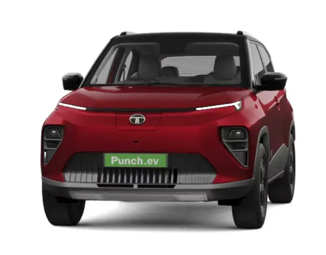 Bengal Rouge with Dual Tone variant