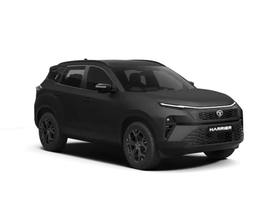 Stealth Black image
