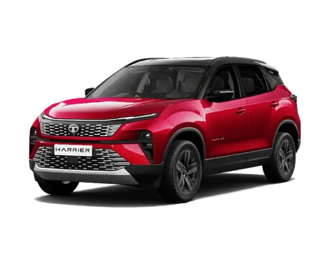 Fearless Ultra Red Dark Petrol