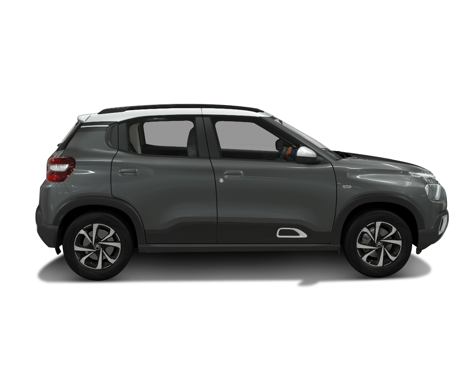 Platinum Grey with Polar White variant