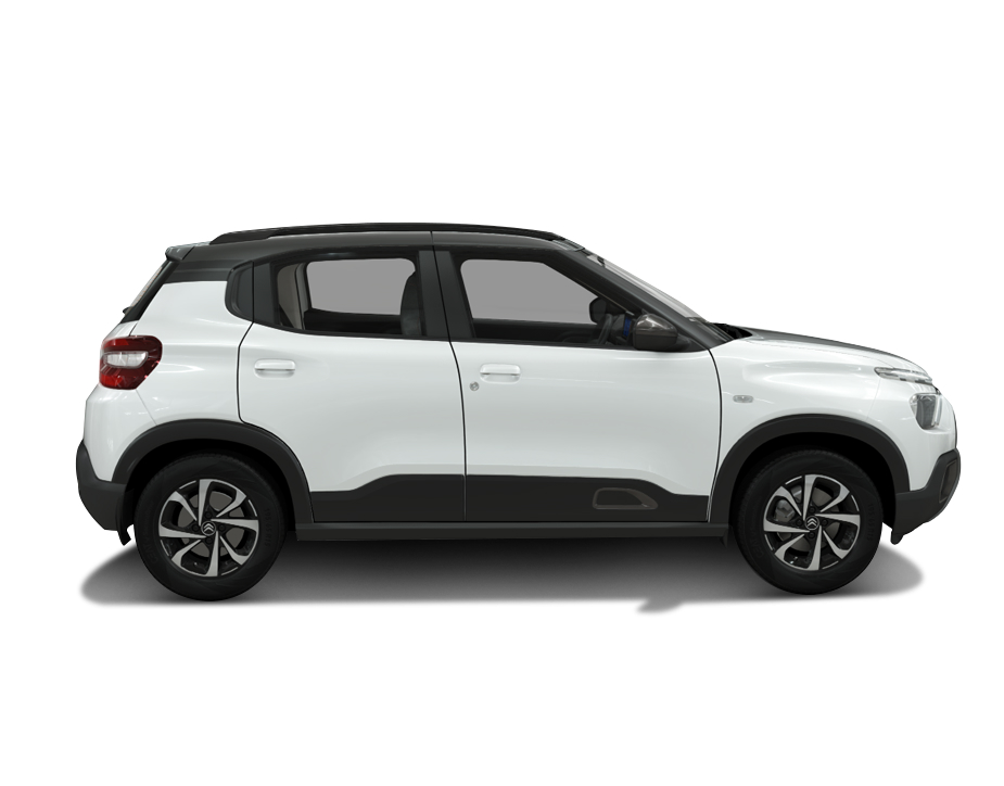 Polar White with Platinum Grey variant