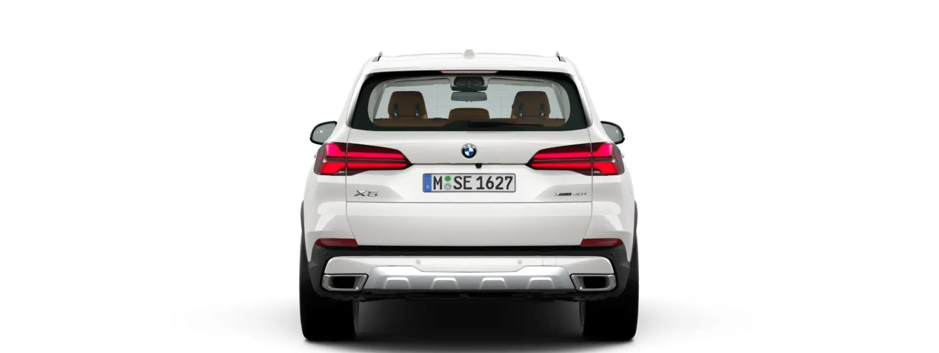 BMW X5 Rear View
