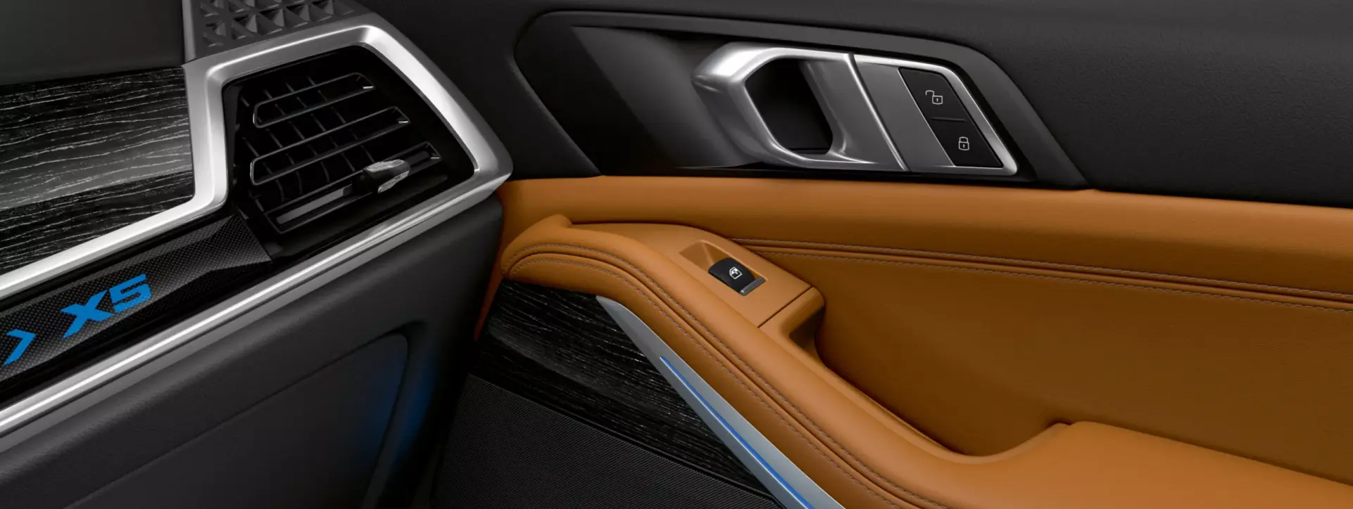 BMW X5 Passenger Door Controls