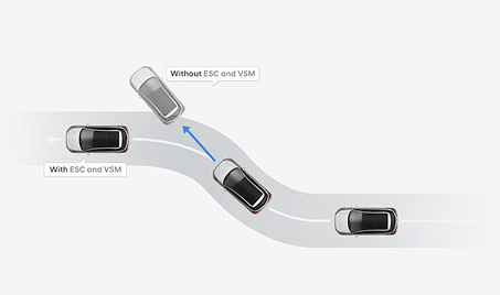 Electronic Stability Control (ESC) with Vehicle Stability Management (VSM)