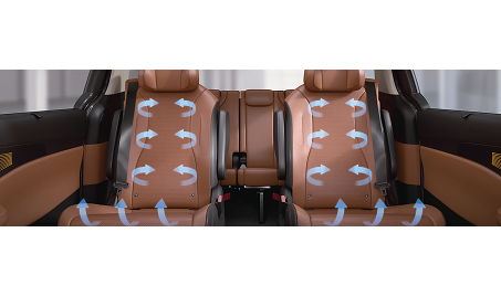 3-Point Seat Belts: for all rows