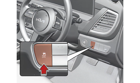 ESC (Electronic Stability Control)