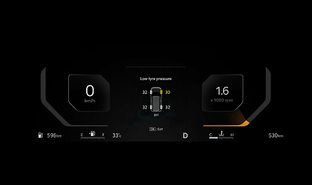 TPMS (Tire Pressure Monitoring System)