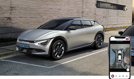 Remote Smart Parking