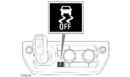 Dynamic Stability Control