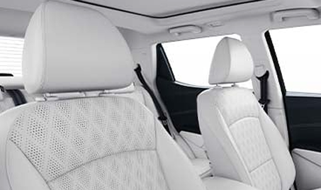 Middle Rear Three-Point Seatbelt