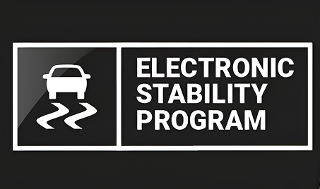 Electronic Stability Program (ESP) 