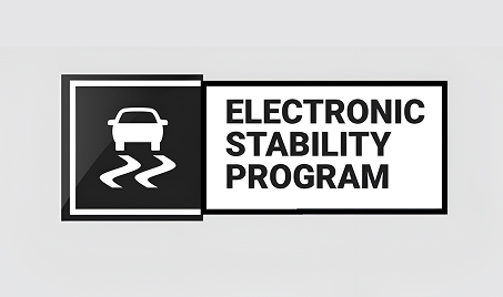 Electronic Stability Program for Better Handling