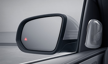 Blind Spot Assist Warning Sensor