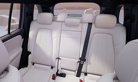 Middle Rear Three-Point Seatbelt