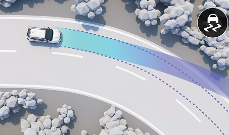 Electronic Stability Program (ESP)