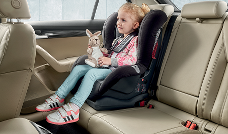 ISOFIX Child Seat Mounts