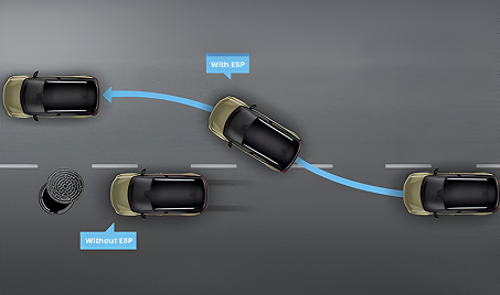 Your Guardian Angel with Electronic Stability Program