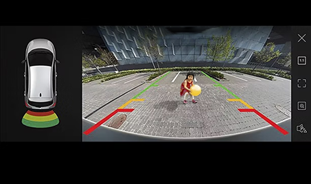 Crystal Clear Parking Assist