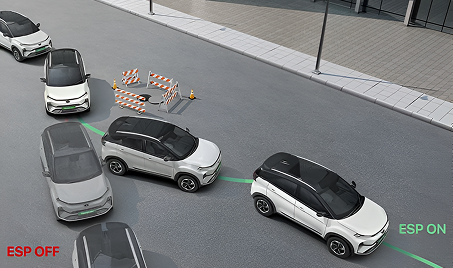 Advanced Stability with ESC & ESP