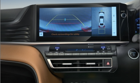 Backup Camera with Dynamic Gridlines