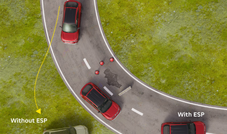 Electronic Stability Program (ESP) for Confident Control