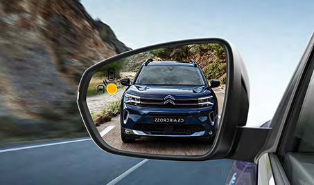 Blind Spot Monitoring System